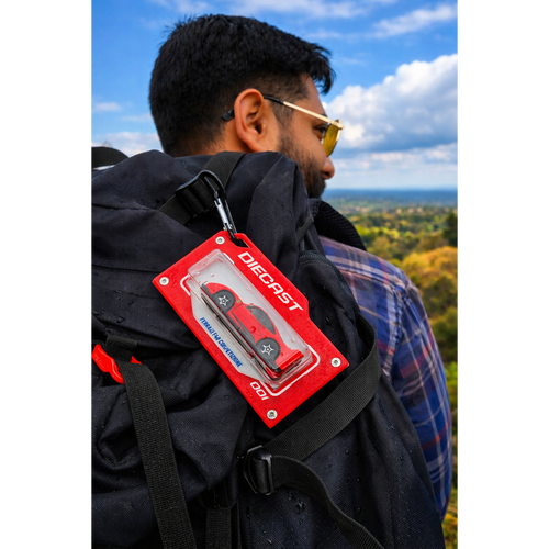 diecast red bag tag in mountain