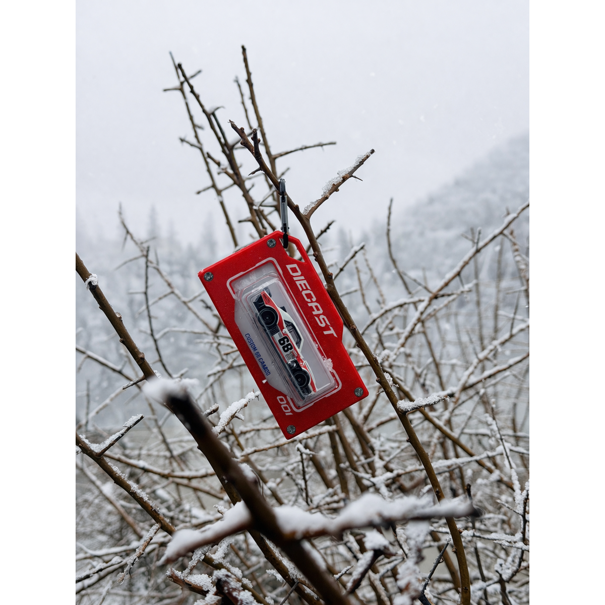 diecast red bag tag in snow