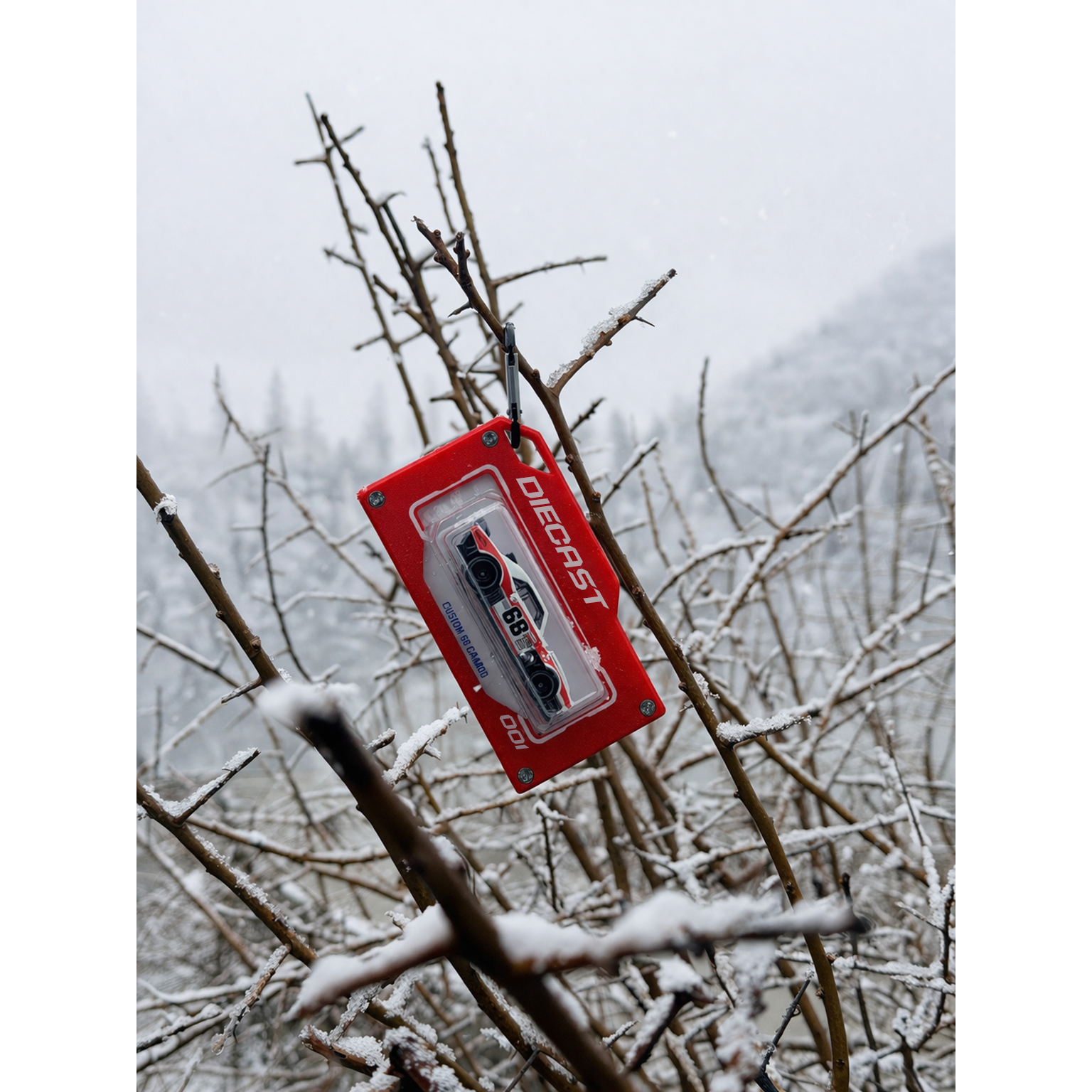 diecast red bag tag in snow
