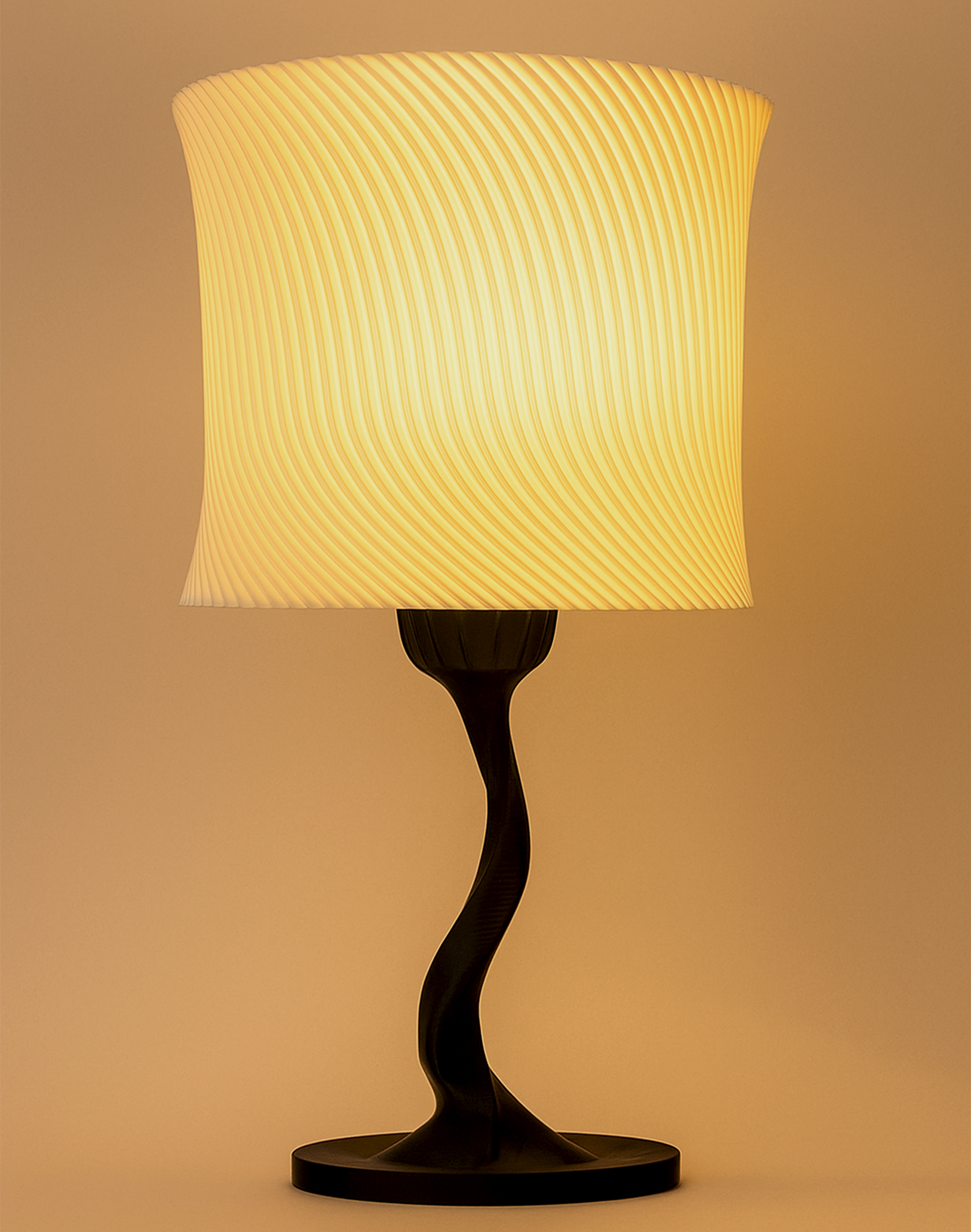 Bonsai lamp decorative table lamp